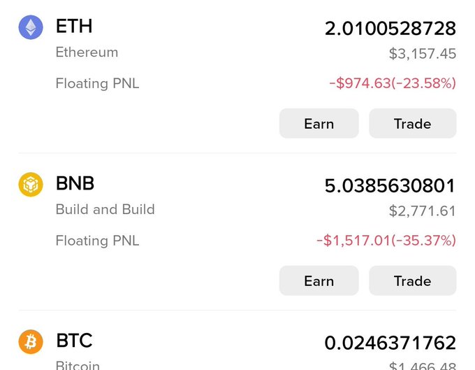 The image displays a portfolio overview showing floating losses of -23.58% (-$974.63) on 2.01 ETH and -35.37% (-$1,517.01) on 5.04 BNB, reflecting the unrealized losses the user is enduring while maintaining their long-term HODL position.