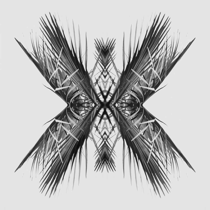 A symmetrical, abstract digital artwork features intricate black and grey fractal patterns radiating outward to form an X or star-like shape against a white background.
