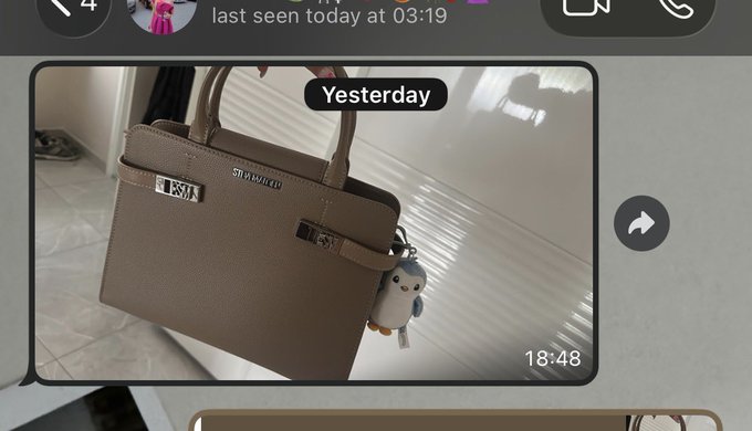 A screenshot of a chat interface shows a 'Yesterday' status message featuring a photo of an etoupe-colored handbag with a small owl keychain charm, timestamped 18:48.