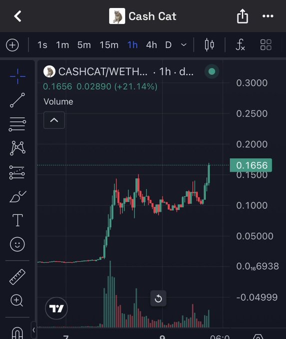 A TradingView chart showing CASHCAT/WETH token price rising 21.14% to 0.1656 over a 1-hour timeframe, with candlestick and volume indicators visible.