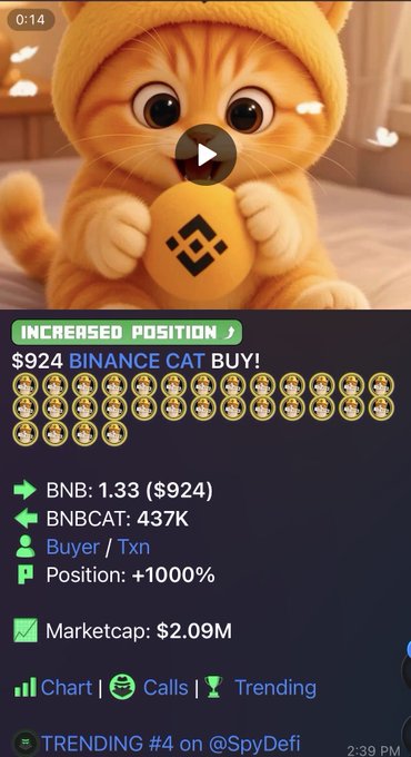 A screenshot of a crypto tracking interface shows an animated cat character and the text '$924 BINANCE CAT BUY!', noting a 'INCREASED POSITION,' 'BNB: 1.33 ($924)', and 'TRENDING #4 on @SpyDefi.'