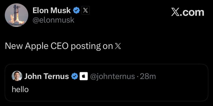 A screenshot of a tweet by Elon Musk (@elonmusk) commenting on a post by John Ternus (@johnternus) that simply says 'hello,' with Musk noting 'New Apple CEO posting on X.'