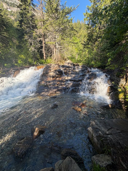A scenic view of a cascading waterfall flowing over rocky terrain surrounded by dense evergreen forest under a clear blue sky.