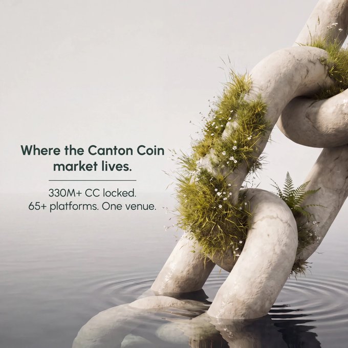 A stone chain intertwined with moss and small white flowers emerges from calm water, paired with the text "Where the Canton Coin market lives. 330M+ CC locked. 65+ platforms. One venue." The image visually reinforces the post's message about Cashen.cc serving as the central hub where Canton Coin (CC) is locked and connected between builders, validators, and holders within the Canton ecosystem.