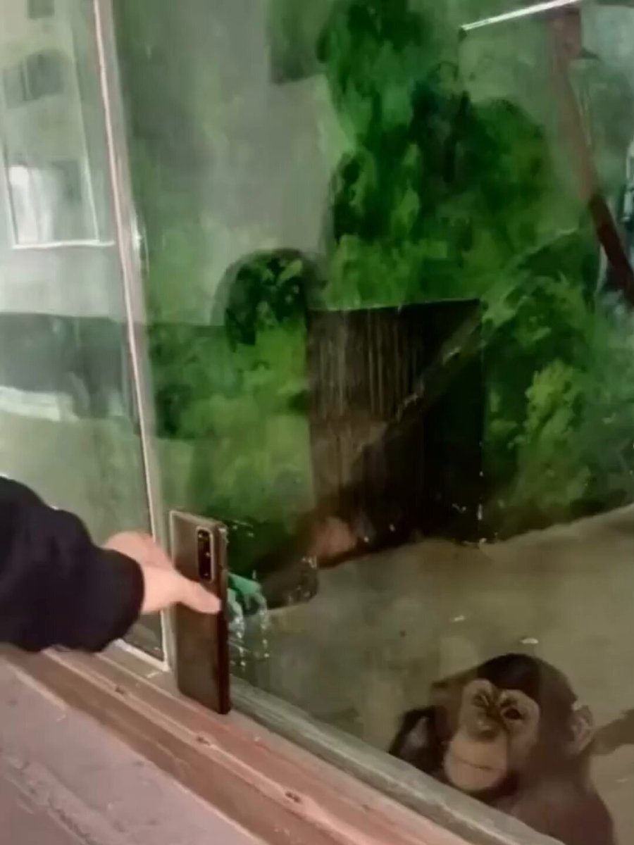 None