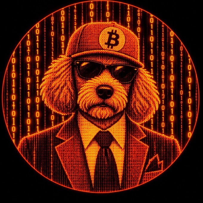A stylized orange and black graphic depicting a dog wearing a Bitcoin cap, sunglasses, and a business suit with a tie, set against a circular background filled with falling binary code (0s and 1s).