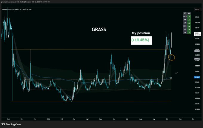 A TradingView chart displays the GRASS/USD pair on a daily timeframe, showing a sharp recent price surge to 0.9073 (+19.7%) with an annotation marking "My position (+19.45%)" and a circled area highlighting a key level near the recent breakout, which corresponds to the post's mention of profiting from the "first daily trend retest since we flipped it" with a target for higher structure breaks.