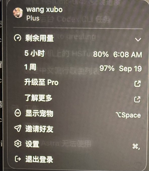 The image shows a ChatGPT Plus account menu for user "wang xubo" displaying usage statistics: 80% remaining for a 5-hour window (resetting at 6:08 AM) and 97% remaining for a 1-week window (resetting Sep 19). This visually supports the post's complaint that Codex is consuming the Plus quota unusually fast, as the 5-hour limit has dropped to 80% after reportedly just two questions.