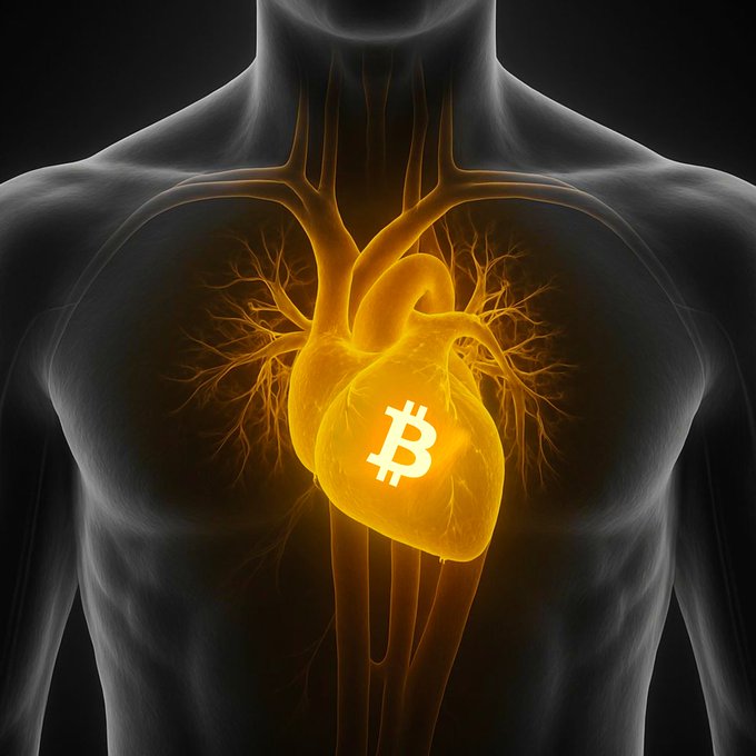 A glowing 3D anatomical illustration features a human heart with the Bitcoin (₿) logo embedded inside, set against a translucent torso showing the cardiovascular system. The image symbolizes Bitcoin as the "heart" of the cryptocurrency community, fitting the post's theme of relating to fellow crypto enthusiasts.