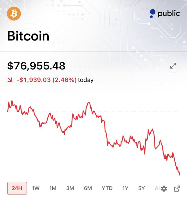 A Public.com cryptocurrency tracking screen showing Bitcoin at $76,955.48, down $1,939.03 (2.46%) for the day, with a 24-hour price chart displaying a downward trend.
