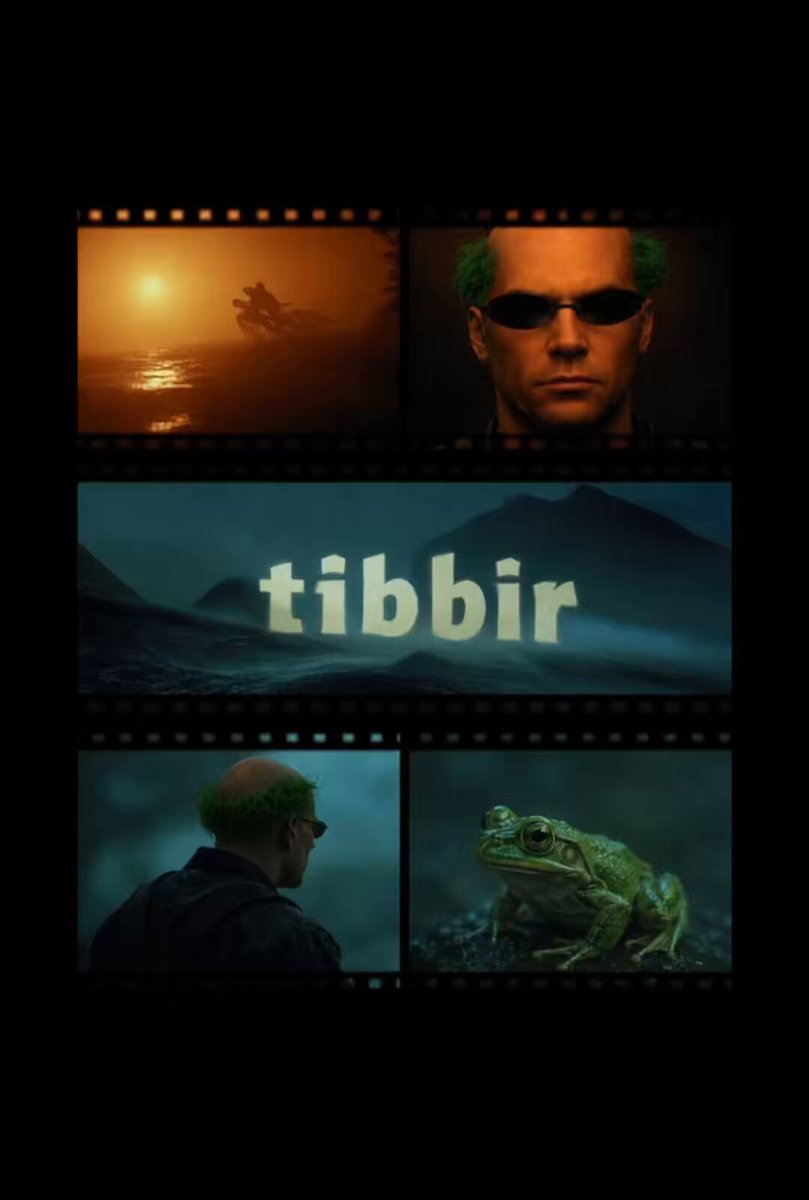 The image features a poster for a movie called "Tibir", which has been shot in multiple locations, including a beach scene with a sunset and a mountain range. The poster includes various shots of the main character, who appears to be a man wearing sunglasses and goggles. There are also several other images on the poster, such as a frog and a bird, adding visual interest and variety to the design.