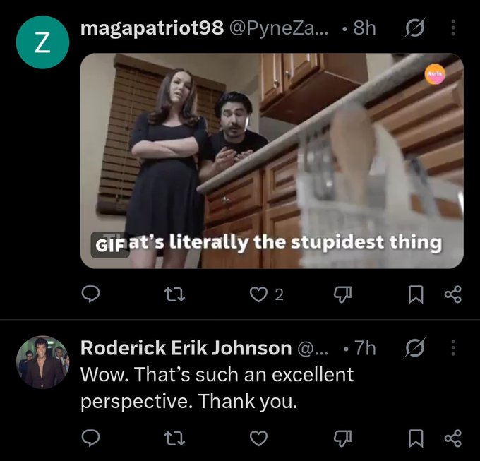A screenshot of a post by magapatriot98 featuring a GIF with the text "That's literally the stupidest thing," followed by a sarcastic reply from Roderick Erik Johnson. The image illustrates a typical argumentative or dismissive interaction found in the user's comment sections.