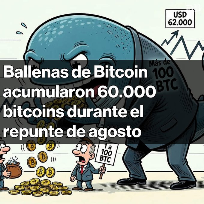 A cartoon illustration of a whale hoarding bitcoin coins with overlaid text in Spanish: 'Ballenas de Bitcoin acumularon 60.000 bitcoins durante el repunte de agosto', with a price tag showing USD 62,000.
