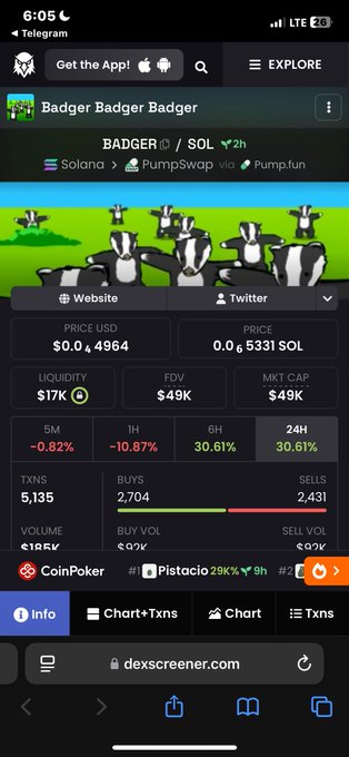 A mobile screenshot of dexscreener.com showing the 'Badger Badger Badger' token trading stats on Solana via PumpSwap.