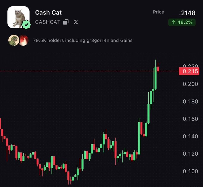 A price chart of "Cash Cat" (CASHCAT) shows the meme coin's value surging to $0.2148, up 48.2%, with 79.5K holders mentioned, visually supporting the claim of its $250M market cap growth as another successful "call" by the poster.