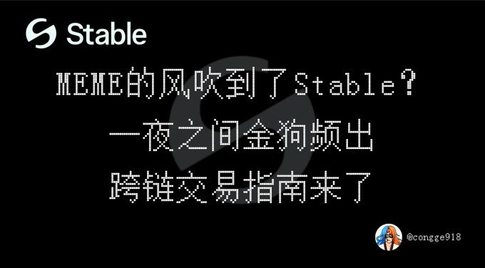 The image features the Stable blockchain logo with Chinese text promoting a meme token trend and cross-chain trading guide, alongside the Twitter handle @congge918. It relates to the post about Stable chain experiencing FOMO after USDT's CEO posted a dinosaur meme named FEFER, sparking meme coin interest and prompting a tutorial on cross-chain bridging to trade.