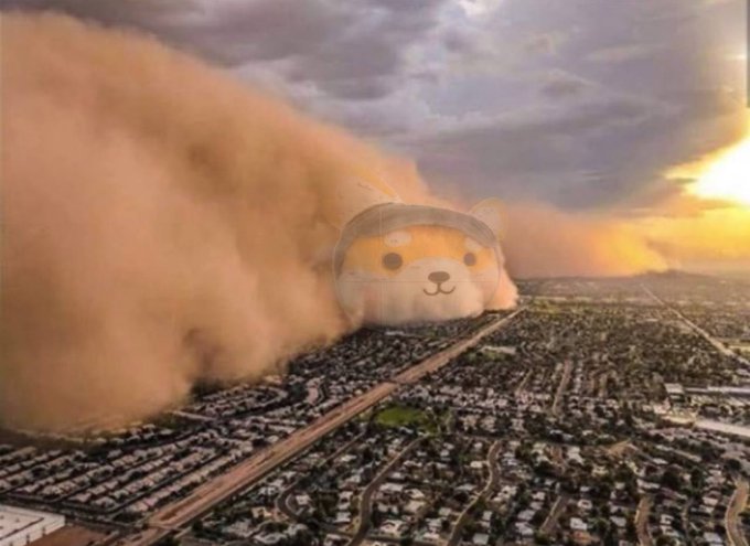 A massive dust storm looms over a suburban cityscape at sunset, with a giant Shiba Inu dog's face superimposed on the leading edge of the cloud formation, humorously depicting the post's "Asteroid Shiba" concept as a kawaii canine-shaped dust front rolling toward the city.