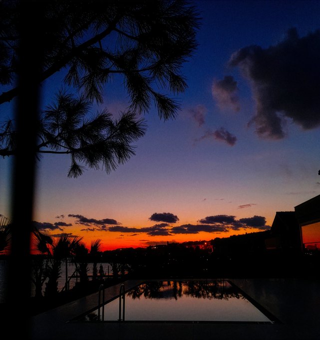 A serene twilight scene featuring a silhouetted pine tree framing a sunset sky over a reflecting pool, with an infinity pool and building silhouette in the foreground.