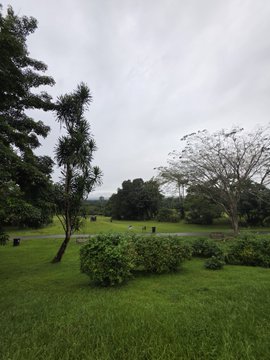 A lush green park scene on an overcast day features manicured lawns, shrubs, and scattered trees, including one with a curved trunk.
