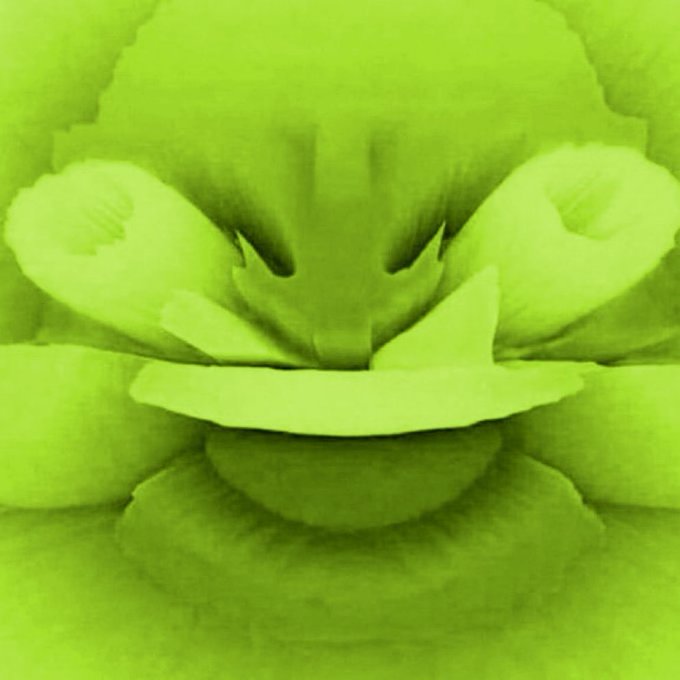 A blurry, neon-green image of a character with large eyes and a wide, unsettling grin resembles a Pepe the Frog meme variant, paired with the caption "Satoshi didn't die for this jeeting shit," suggesting the poster is mocking a crypto-related disappointment or betrayal.