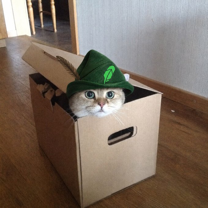 A Scottish Fold cat wearing a green Robin Hood-style hat peeks out from a cardboard box, cleverly illustrating the "$BOXED" meme token concept from the post. The image ties directly to the caption's "Stay boxed" rallying cry and the boxed coin's social media branding efforts.