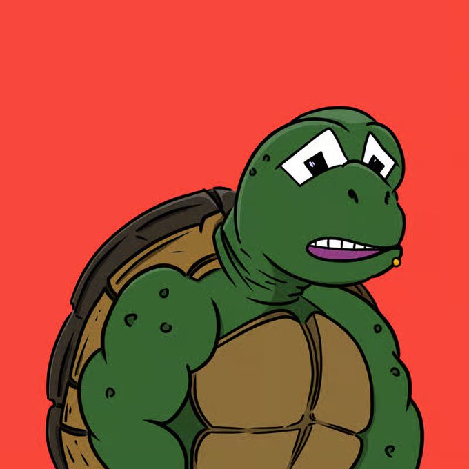 An illustration of a green cartoon turtle character with a muscular build against a red background.