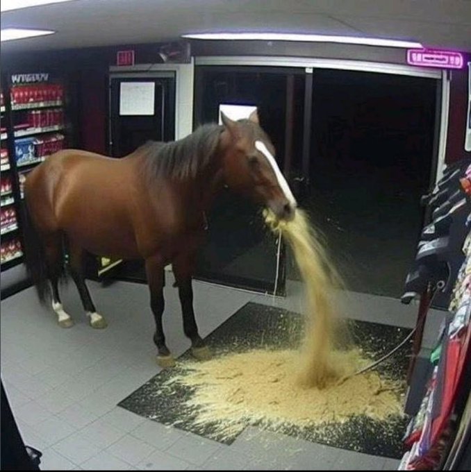 A humorous photo of a brown horse standing inside a convenience store, blowing out a massive pile of hay/feed onto the floor near the entrance.