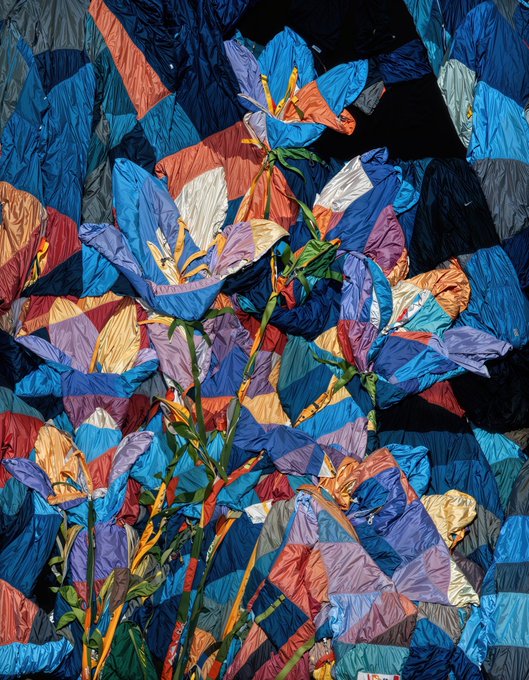 A textured, impasto-style painting of blue and purple lilies with orange stamens set against a patchwork background of blue, red, and black geometric shapes.