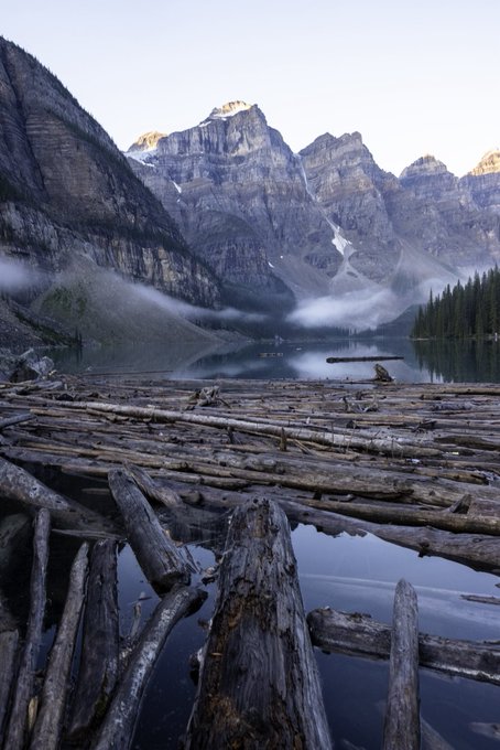 A scenic landscape photograph of a mountain lake with jagged peaks in the background, mist hovering over the water, and a foreground filled with a dense tangle of driftwood logs.