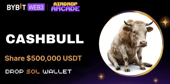 Promotional banner for "BYBIT WEB3 AIRDROP ARCADE" featuring the "CASHBULL" giveaway, offering a share of $500,000 USDT to participants who drop a Solana (SOL) wallet address, tying directly into the post's call for #SOL entries and #SolanaAirdrop participation. The design showcases a sitting bull imagery alongside instructions to "DROP SOL WALLET," reinforcing the bullish, crypto-airdrop theme of the snapshot campaign.