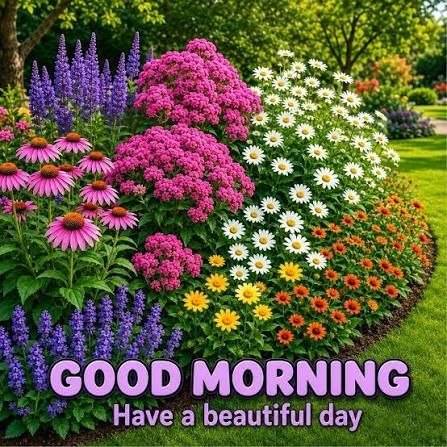 A vibrant garden scene with pink coneflowers, purple salvia, white daisies, and yellow blooms, with text reading 'GOOD MORNING Have a beautiful day'.