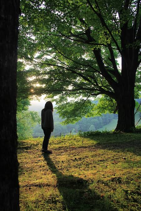 urn of gold and green leaves, casting a shadow on the ground, with a person standing near it in a serene park setting.