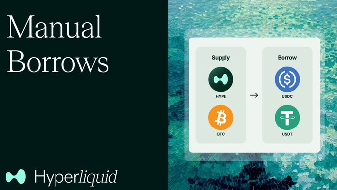 Promotional graphic for Hyperliquid titled 'Manual Borrows' showing a UI panel for supplying HYPE or BTC and borrowing USDC or USDT, set against a mosaic-patterned ocean background.