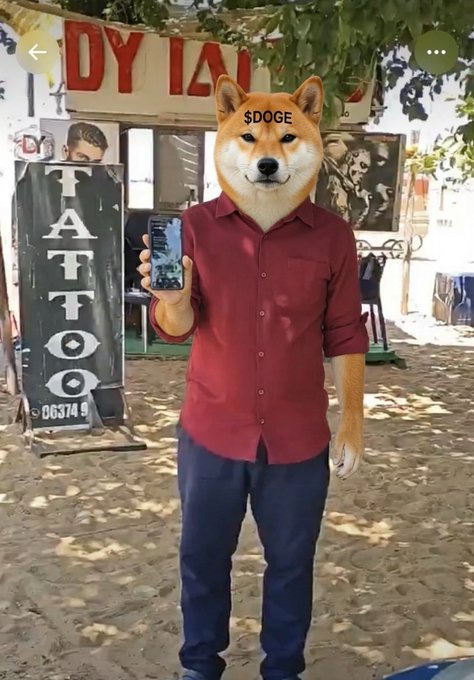 The image features a man dressed in a red shirt, holding up his cell phone with a $DOGE sign on his head. The background includes a tattoo shop or store, as well as some trees and a bench. The caption of the image reads "Good morning $Doge Fam".