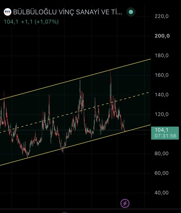 A candlestick chart for BVSAN (Bülbüloğlu Vinç Sanayi ve T...) shows the stock trading at 104.1, up 1.07%, with a rising wedge/channel pattern formed by two parallel ascending trendlines between approximately 75-180 over the period. The chart visually supports the post's claim of remaining positive above the 102 linear support level on a year-to-date basis.