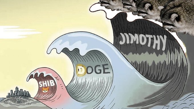 A meme illustration shows a large wave labeled 'JIMOTHY' about to crash over smaller waves labeled 'SHIB' and 'DOGE', with a raccoon face peeking from the top right corner, referencing crypto tokens.