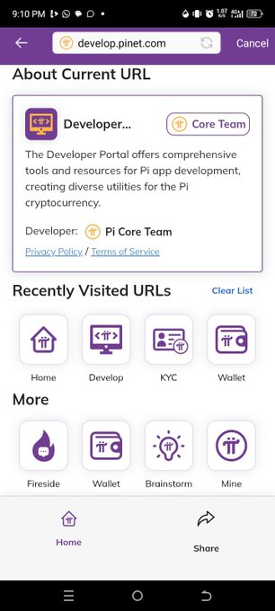 A screenshot of the Pi Network Developer Portal at develop.pinet.com shows a "Pi Core Team" listing describing it as offering tools and resources for Pi app development, with quick links to Home, Develop, KYC, Wallet, Fireside, Brainstorm, and Mine sections. The image relates to the post by highlighting the developer ecosystem where projects like SoloHost could be built to test emerging Pi functionalities like distributed computing.