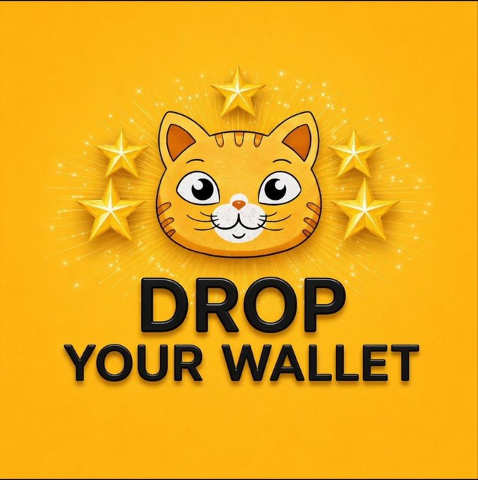A promotional graphic featuring a cartoon cat face surrounded by gold stars on an orange background with the bold text 'DROP YOUR WALLET'.
