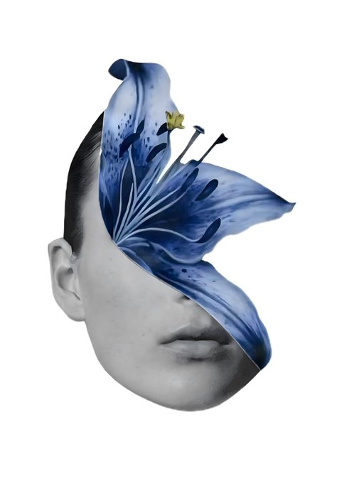 A surreal photo manipulation shows a man's lower face combined with a blue lily flower covering the upper half of his head against a white background.