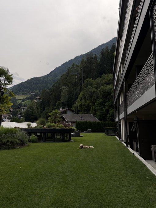 A golden retriever relaxes on a lush green lawn of a luxurious mountain retreat in the Dolomites, with forested peaks rising in the background under a moody sky. The serene alpine getaway provides a fitting backdrop for stepping away from the markets after adding to a BTC swing long at 62.7.