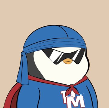 The image features a cartoon penguin wearing sunglasses, a blue hat with a bandana tied around its neck, and a red scarf wrapped around its neck. The penguin appears to be dressed as a superhero or a character from a comic book series. The caption "If I'm gonna own ETH I prefer to do it in penguins" suggests that the penguin is wearing these items for fun or as part of a costume rather than for actual use.