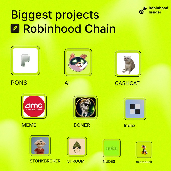 Infographic titled 'Biggest projects Robinhood Chain' on a green background from Robinhood Insider, displaying meme coin icons labeled PONS, AI, CASHCAT, MEME, BONER, Index, STONKBROKER, SHROOM, NUDES, and microduck.