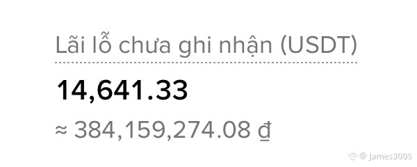 A financial display showing 'Lãi lỗ chưa ghi nhận (USDT)' with a value of 14,641.33 USDT, approximately 384,159,274.08 đ, credited to james3009.