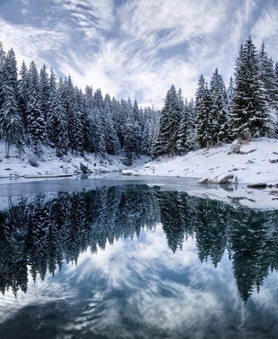 A serene winter landscape photograph featuring snow-covered evergreen trees surrounding a calm lake with mirror-like reflections under a partly cloudy sky.