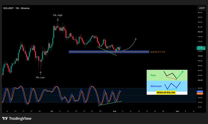 A TradingView chart of SOL/USDT on the 12-hour timeframe shows price testing the 0.618 Fibonacci level at $71.71, with a "Regular Bullish" divergence pattern emerging between price and momentum oscillators at the Feb. Low, supporting the bullish thesis for $SOL.