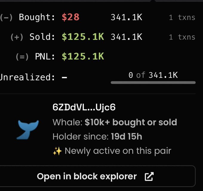 A transaction summary shows a whale wallet (6ZDdVL...Ujc6) with $28 bought and $125.1K sold, realizing a $125.1K profit, marked as newly active on the pair.