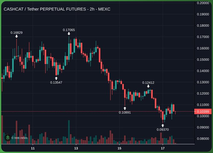 A 2-hour candlestick chart of the CASHCAT/USDT perpetual futures pair on MEXC shows a sharp downtrend from a high of $0.17065 on the 13th to a low of $0.09370 on the 17th, with the price currently consolidating around $0.10396.

The image illustrates the bearish price action described in the post, visually reinforcing the speaker's claim that their conviction in CASHCAT remains unshaken despite the token losing roughly 43% of its value over the five-day period shown.