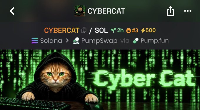 A promotional graphic for the meme coin “CYBERCAT” on Solana shows a hooded cat at a computer before a green Matrix-style code background. Visible text includes “CYBERCAT / SOL,” “2h,” “#3,” “500,” “Solana,” “PumpSwap via Pump.fun,” and the contract address “HfWDdM3mLB8Qjw9jTRKV7sYBmu5FdX3LrQWa2d9rpump,” supporting the post’s buy-and-hold hype.