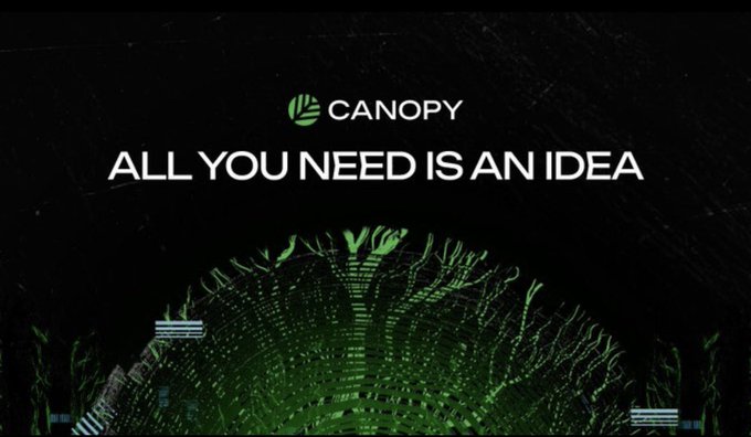 The image displays a Canopy-branded graphic with the tagline "ALL YOU NEED IS AN IDEA" set against a dark background featuring an abstract green digital design resembling circuitry or a tree canopy.

The image relates to the post by reinforcing the message that launching a Web3 product starts with just an idea, while the accompanying text hints at the greater challenges of maintaining control and making decisions as the project scales post-launch.