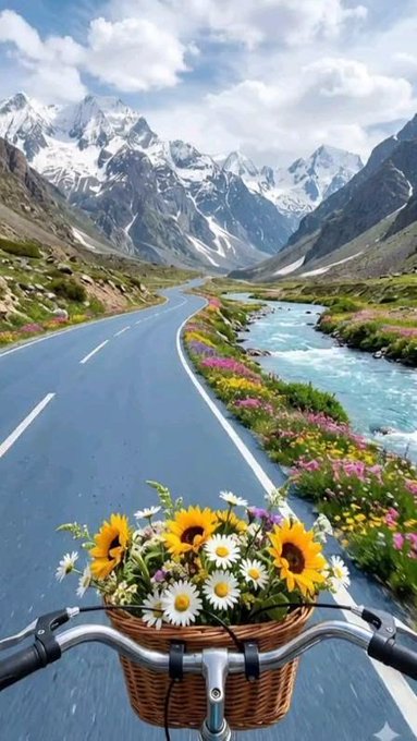 A scenic view from the perspective of a bicycle shows a basket filled with sunflowers and daisies, riding along a road beside a river with snow-capped mountains in the distance.
